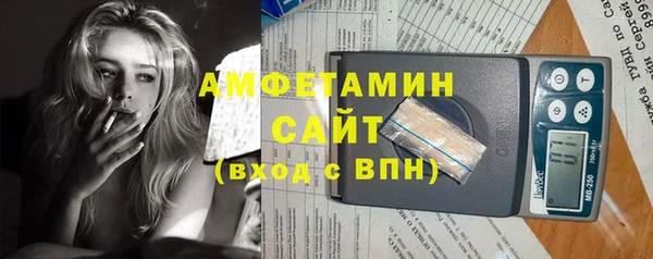 метадон Алексин