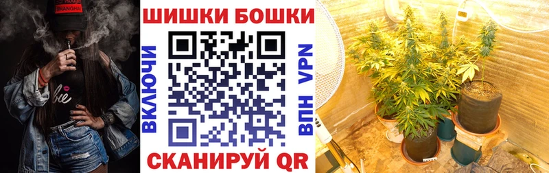 Бошки марихуана план Венёв